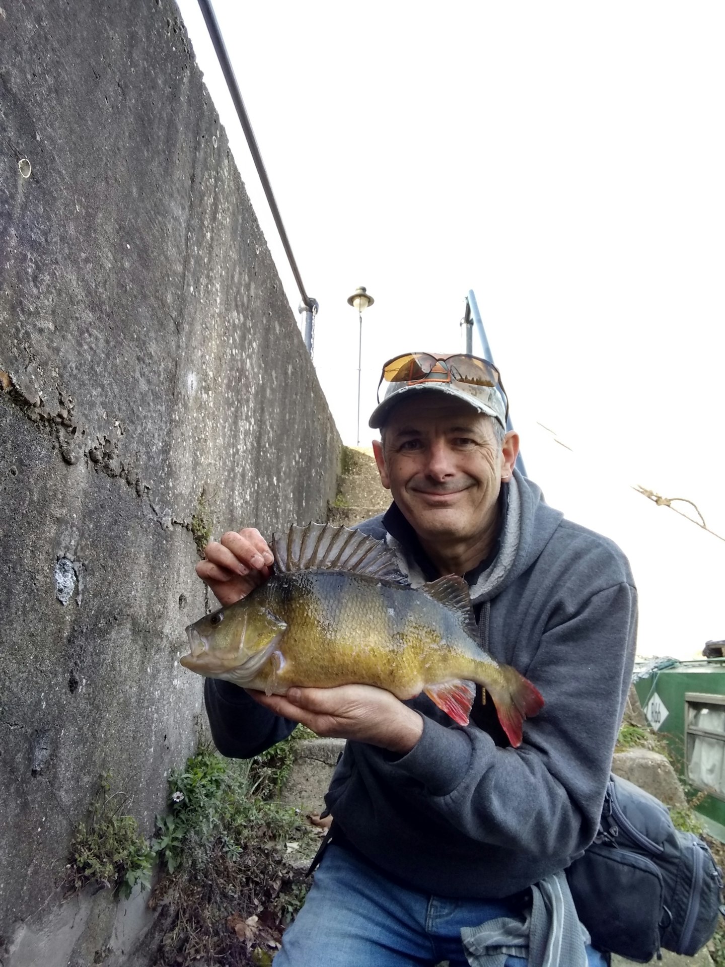 Mick Trillow – 4lb 12oz perch