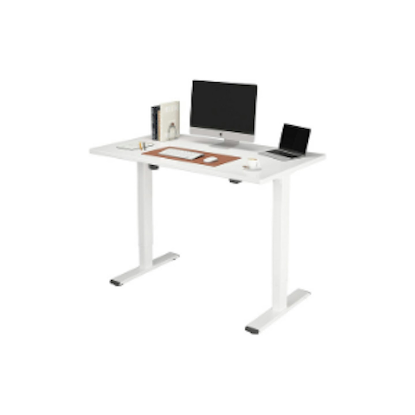 FLEXISPOT standing desk EC1 