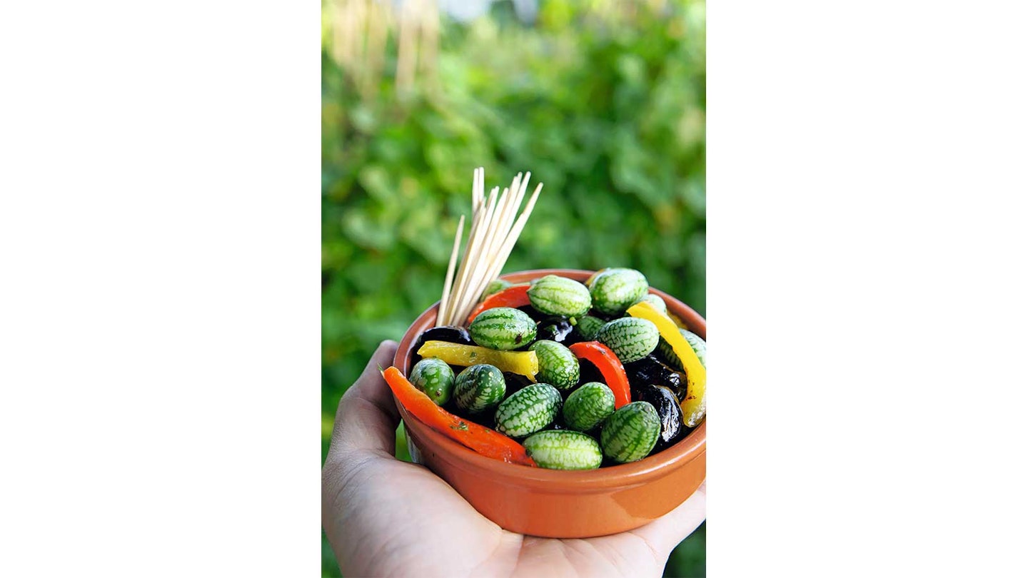 terracotthand holding a bowl of cucamelons