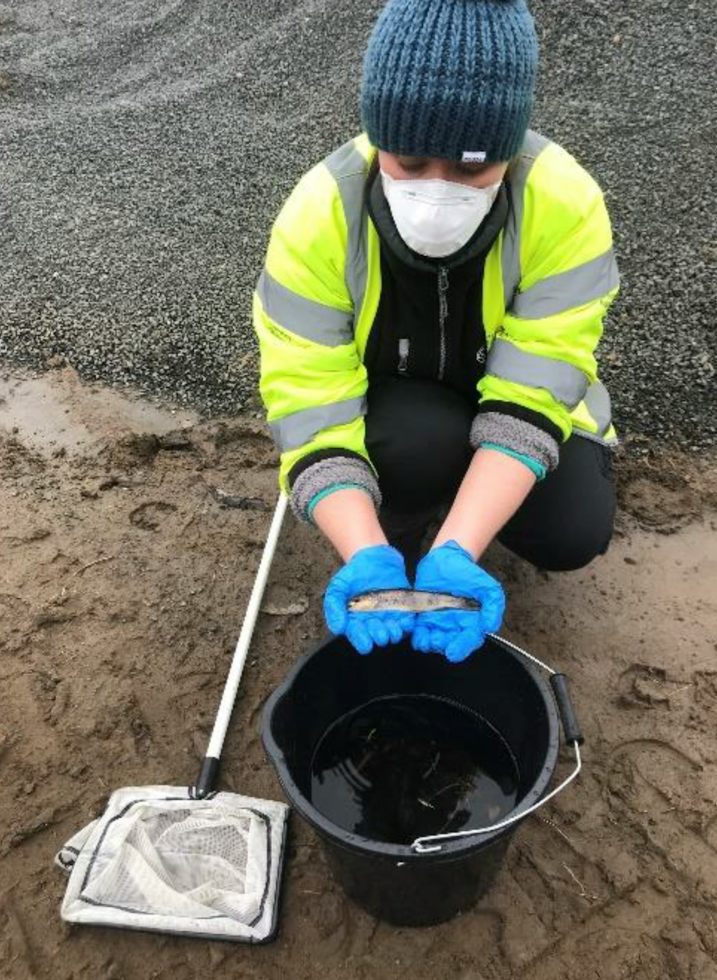 Environment Agency fisheries specialists were quickly deployed to relocate fish stuck in a cut-off stretch of river