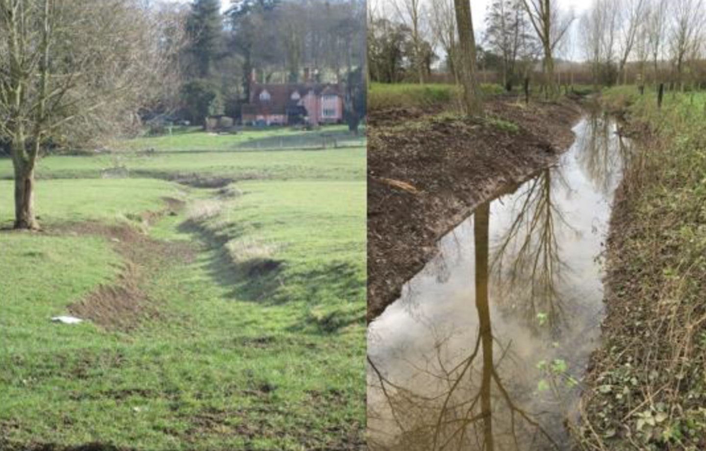 Wildlife set to flourish after project completion on River Stour