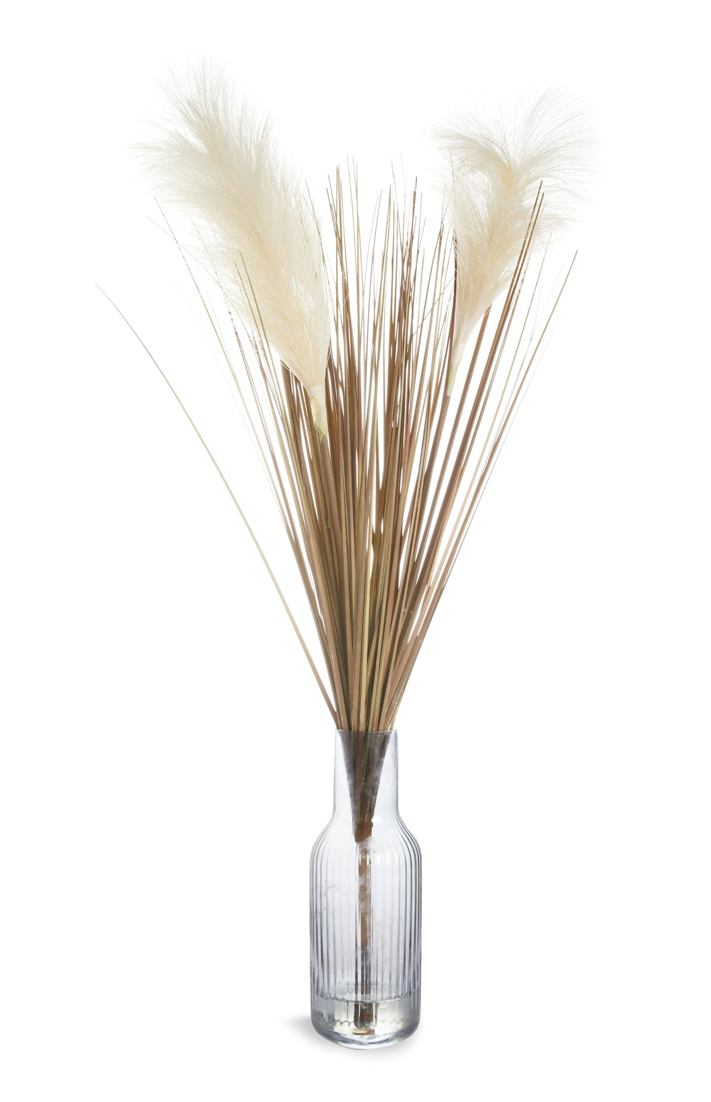 Primark, Pampas Grass In Vase, £12