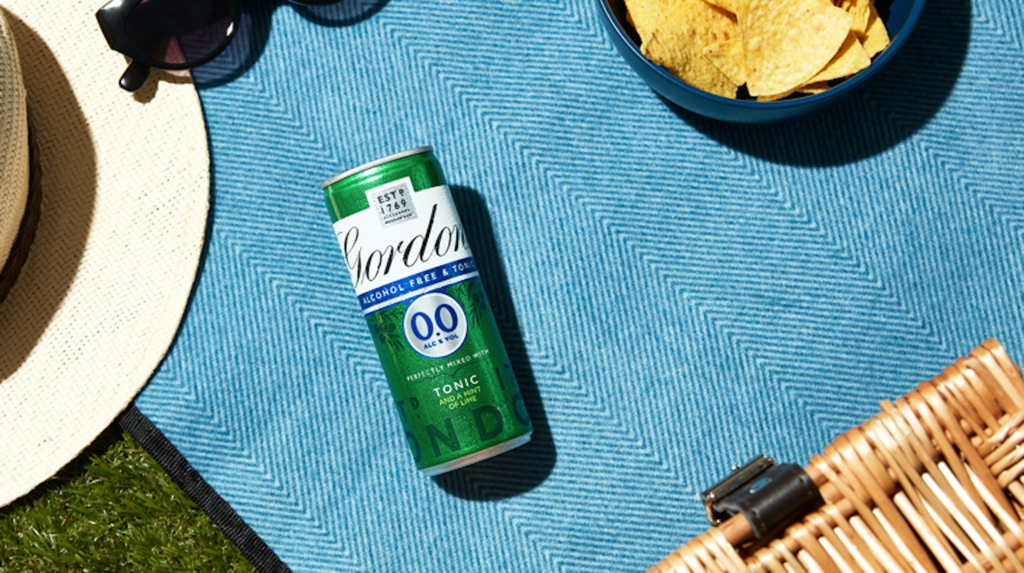 The Best Picnic-Ready Canned Drinks