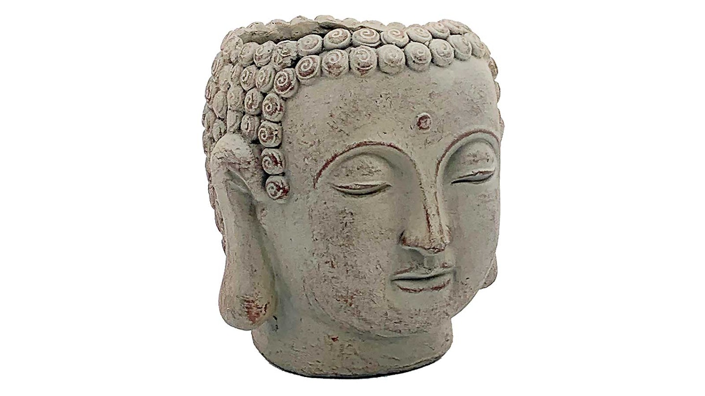buddha head plant pot