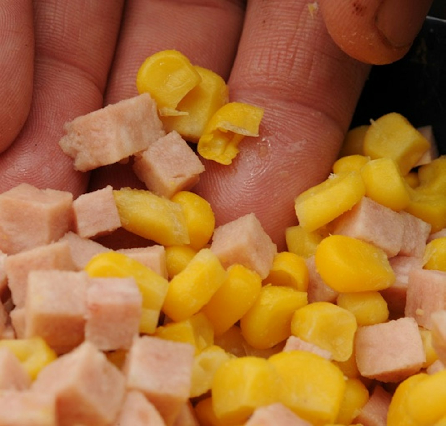 Kitchen cupboard baits