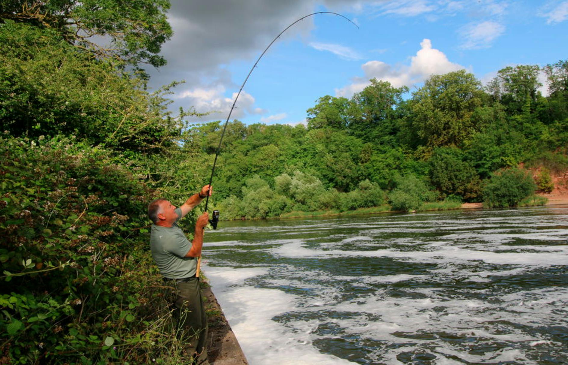 korum barbel masters