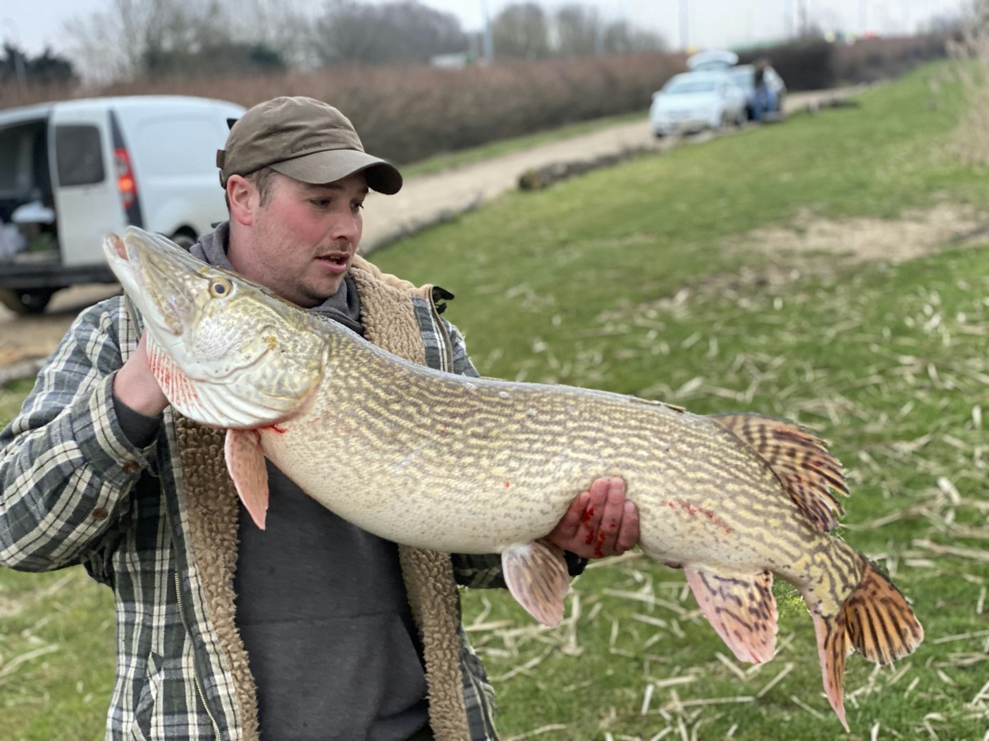 Daniel Dale had just 20 minutes of the session left when this 31lb 4oz pike picked up his bait
