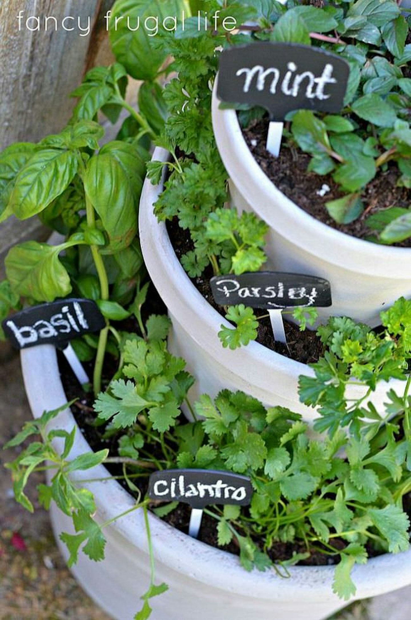 DIY stacked outdoor herb gardens