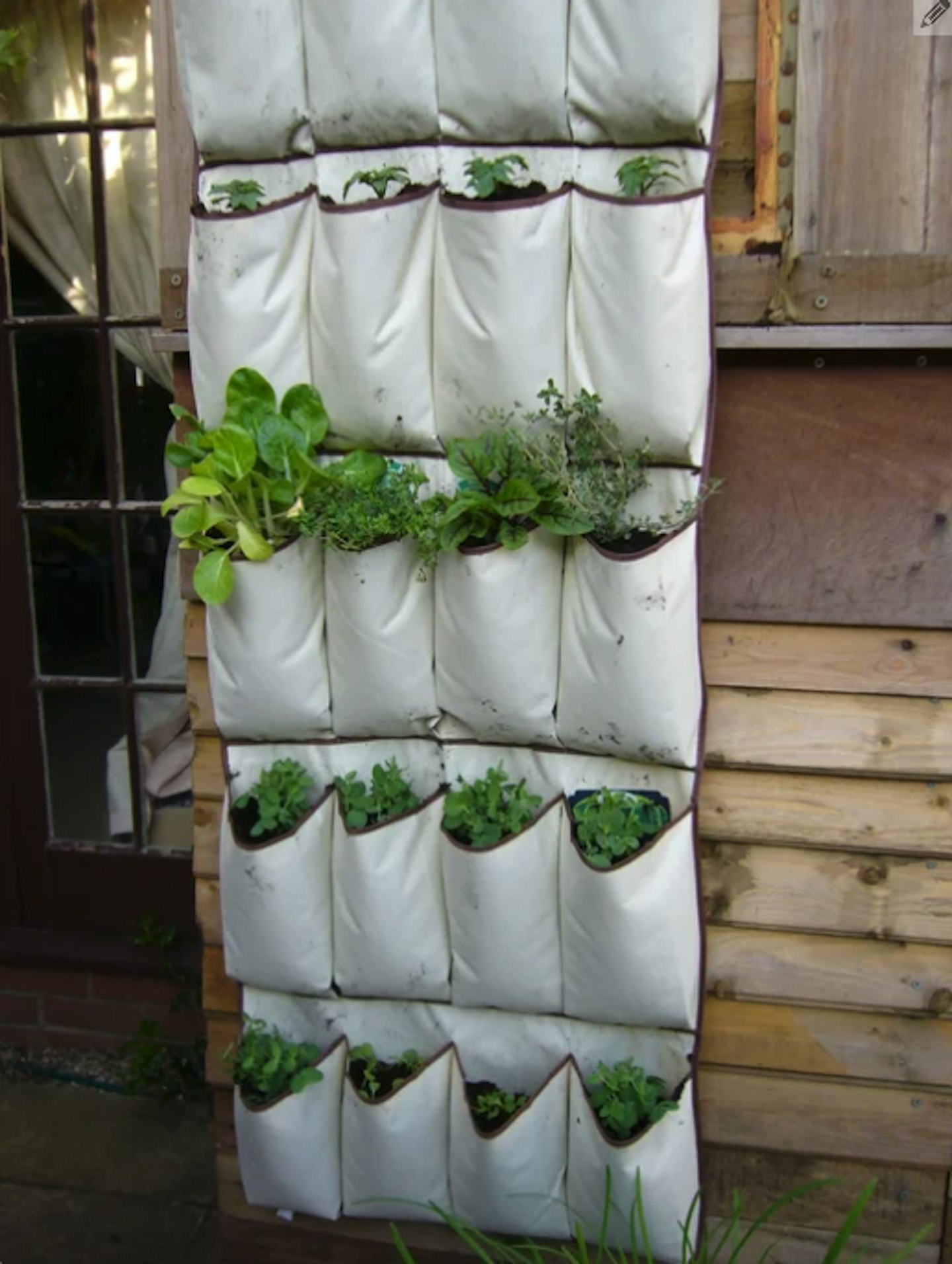 Innovative shoe holder planter
