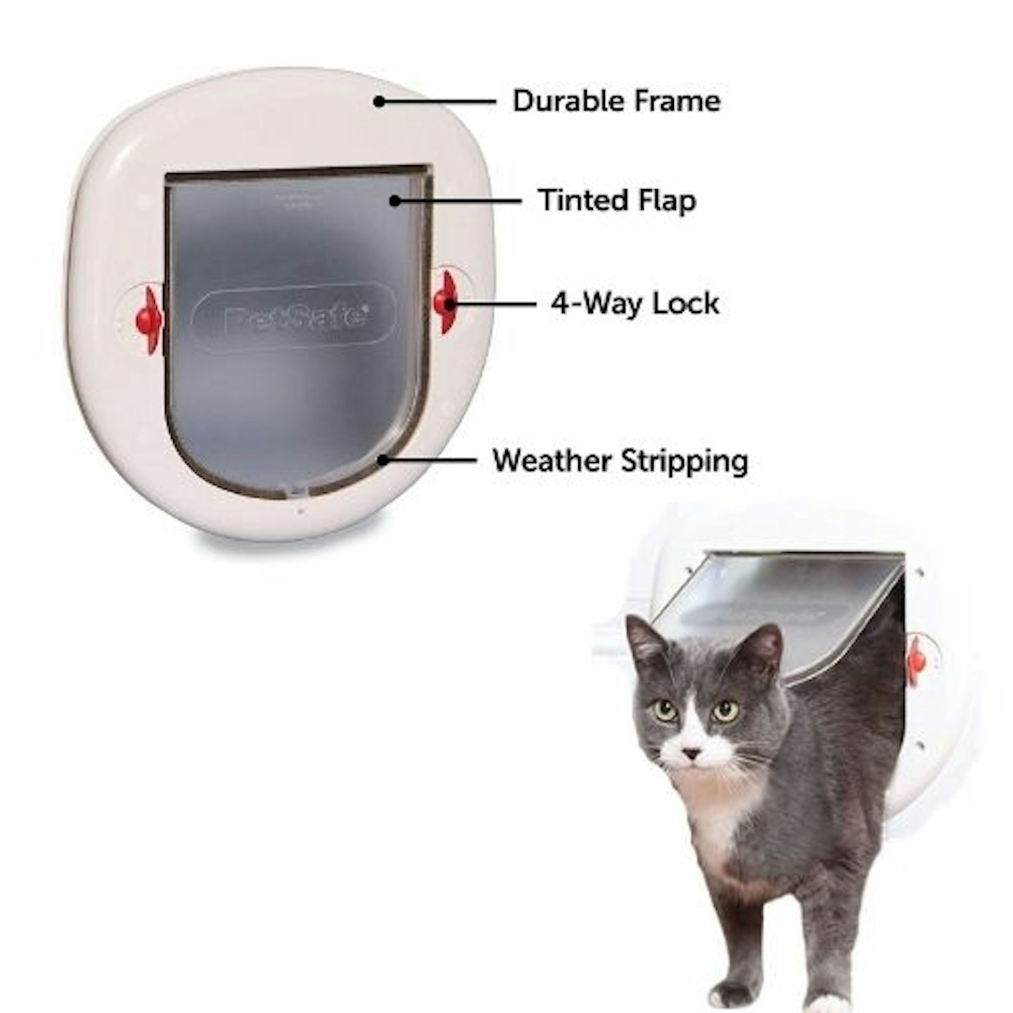 PetSafe Interior and Exterior Cat Door