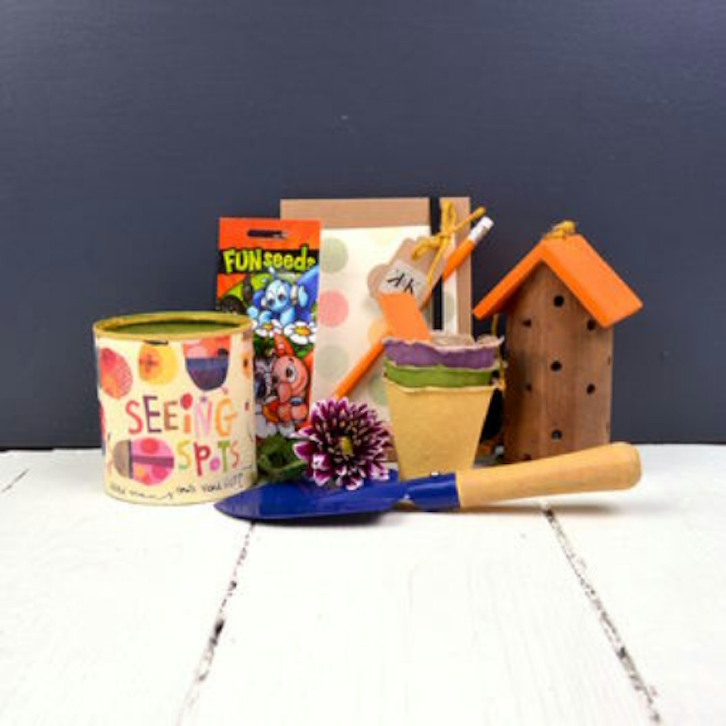Kid's Ladybird Gardening Set