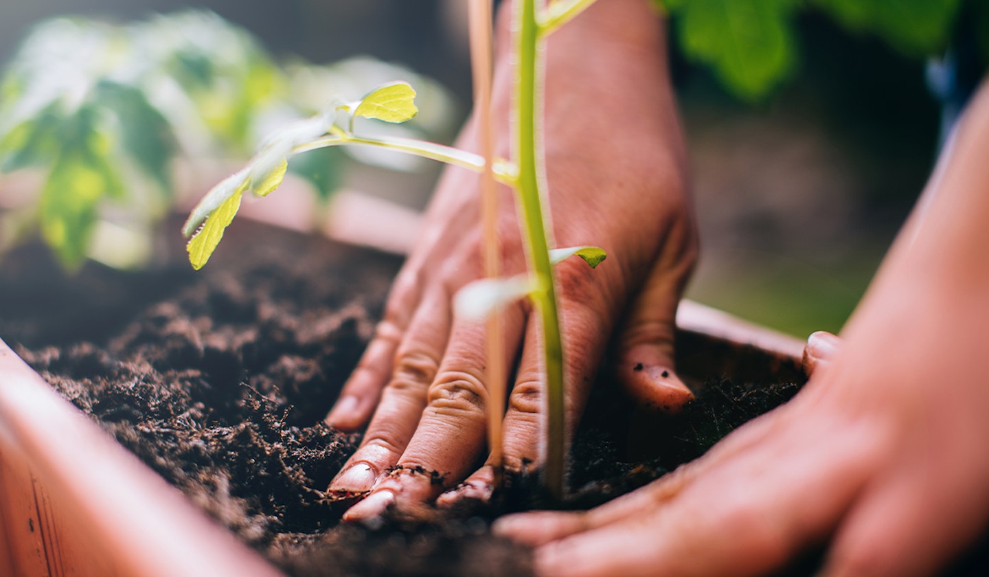 Earth-day-activities