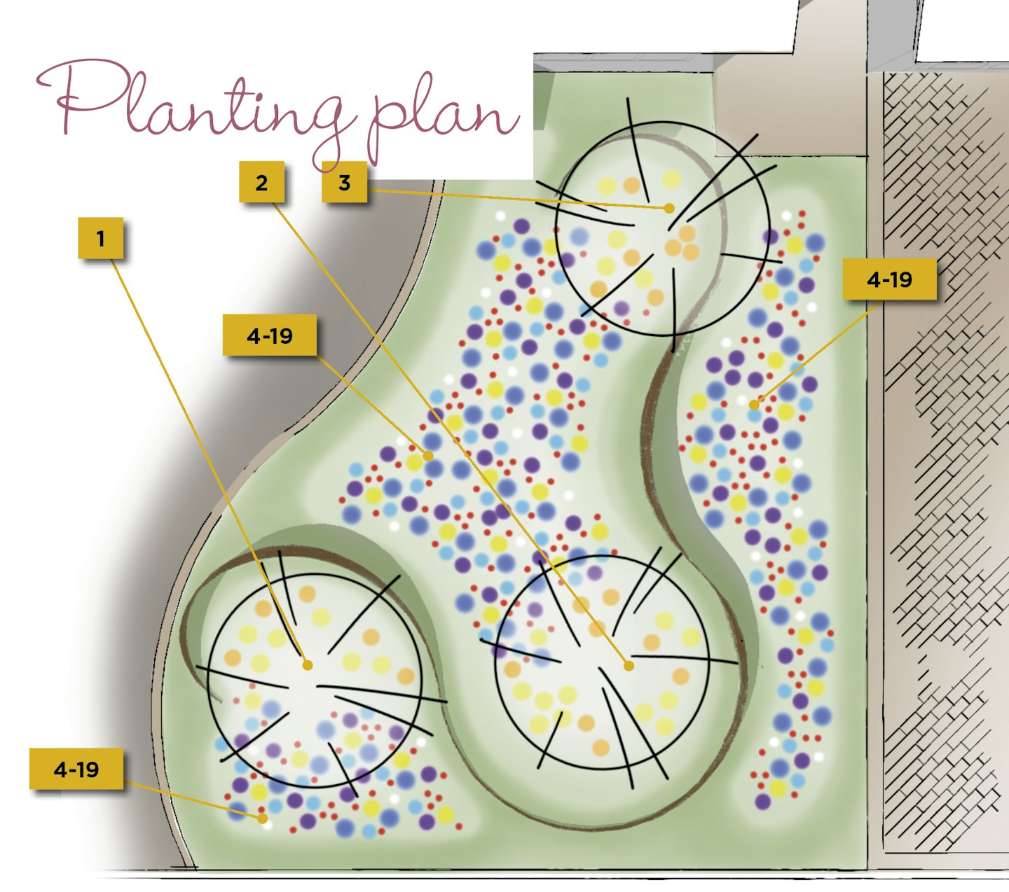 Planting plan for meadow garden