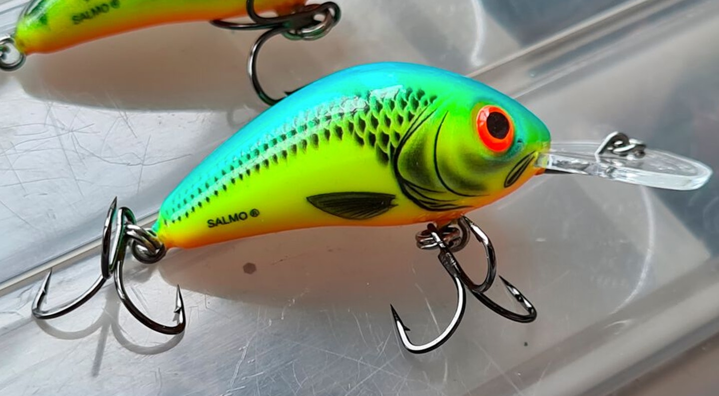 The Rattlin’ Salmo Hornet lure Guy used