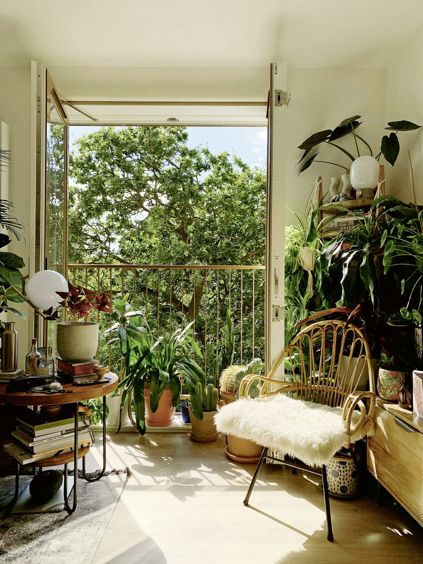 Indoor garden