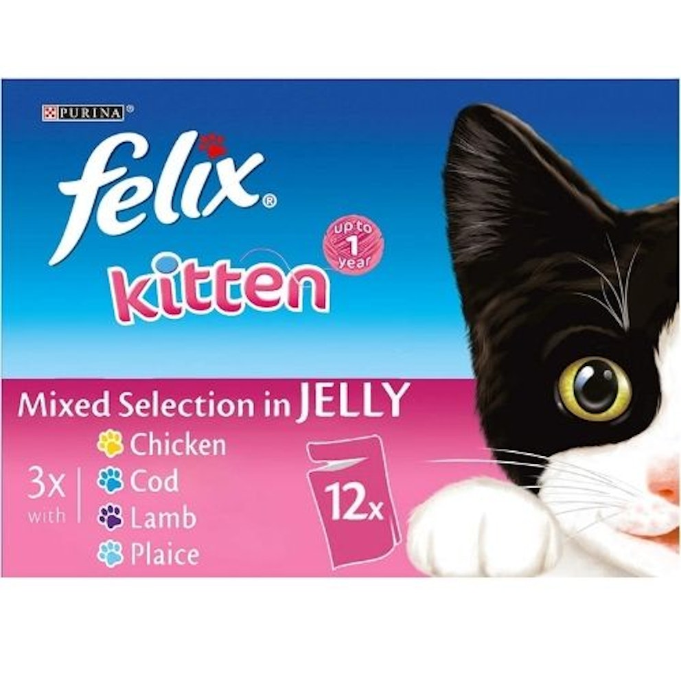 Best Cat Food For Kittens UK 2022 Home Whats The Best