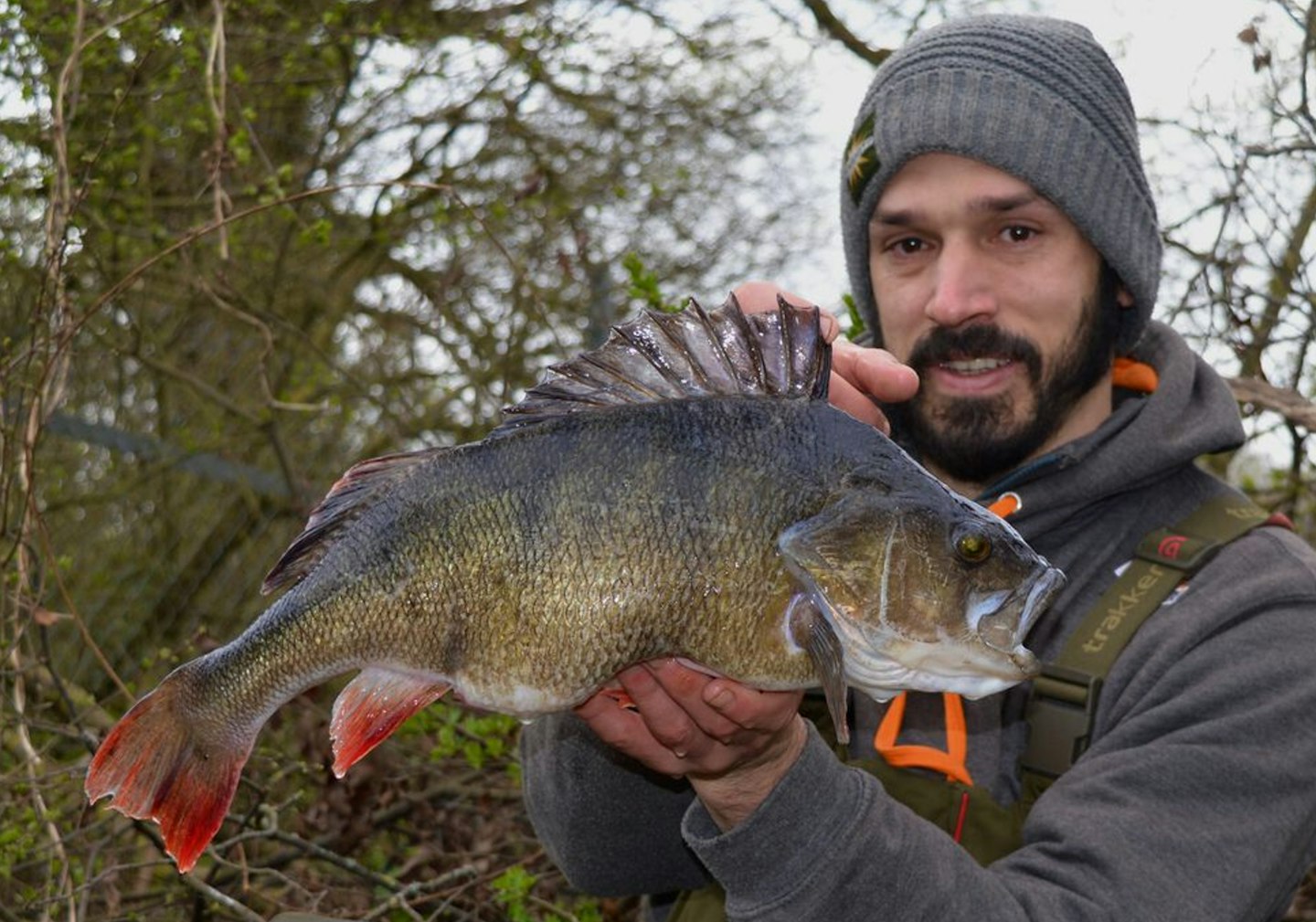 Huge perch landed from 100-acre pit