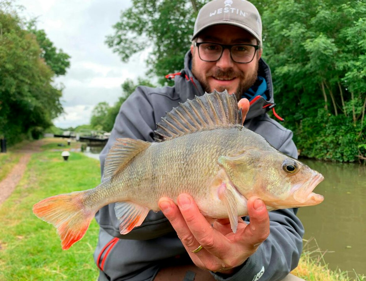 There are some superb perch of 2lb, 3lb or even 4lb-plus in many canals all around the UK