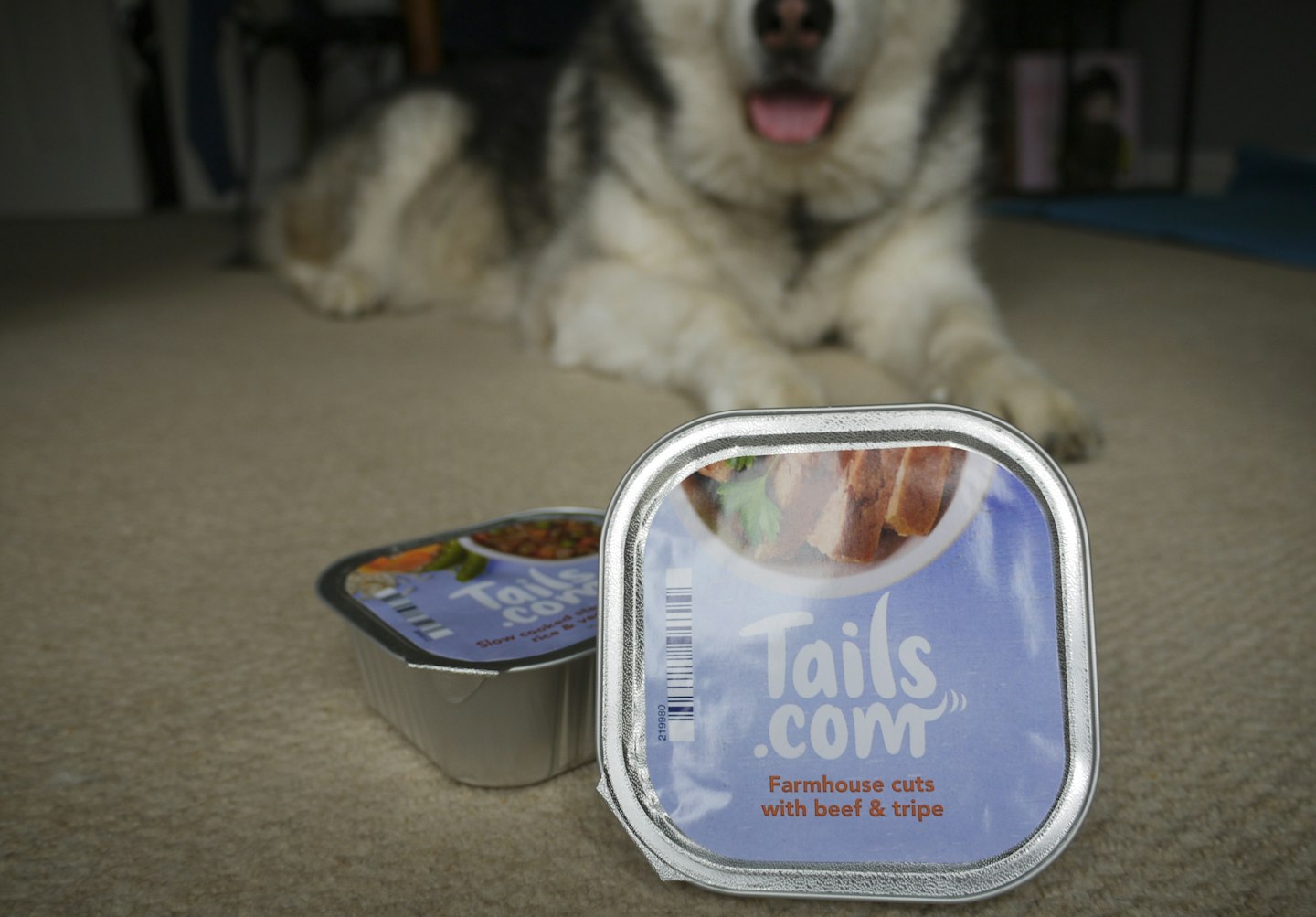 Tails.com review - taste test