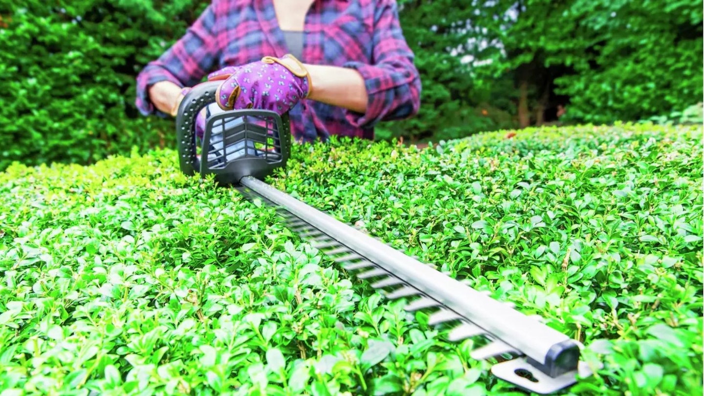 Woman using a hedge trimmer in the garden 