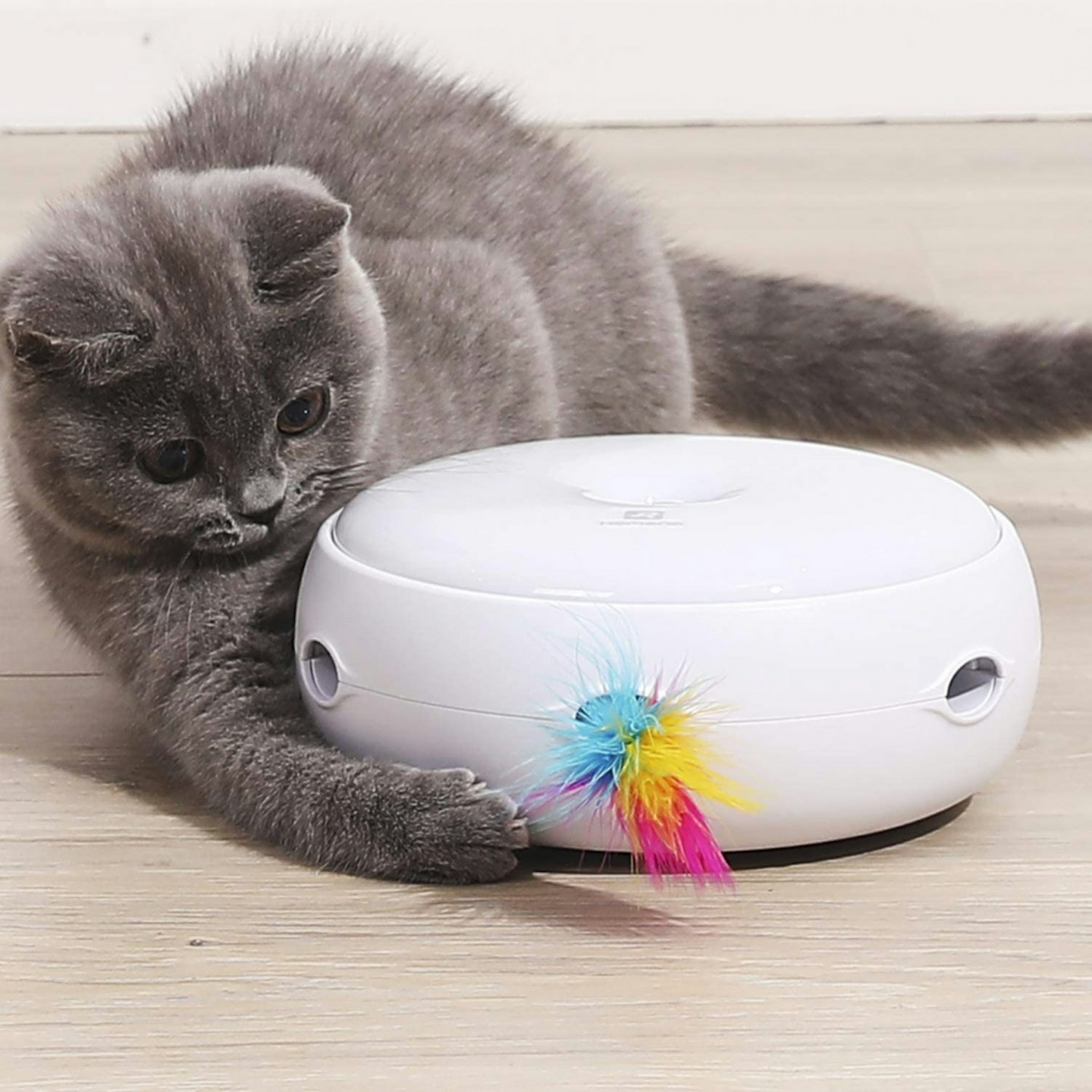 Interactive Feather Smart Kitten Teaser Toy