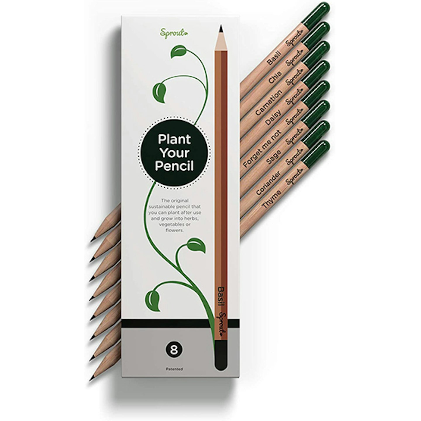 Sprout pencils