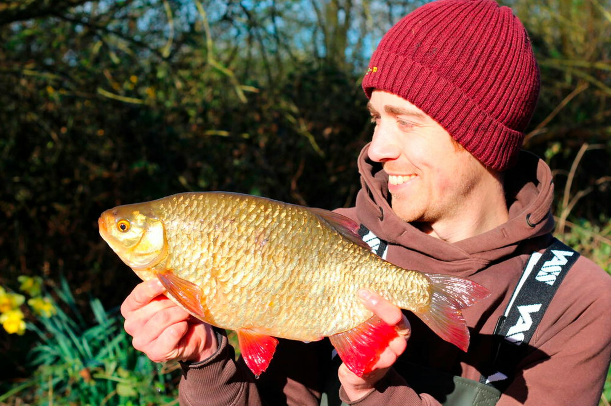 Five-year campaign for big pit rudd topped by 3lb 9oz giant | Angling Times