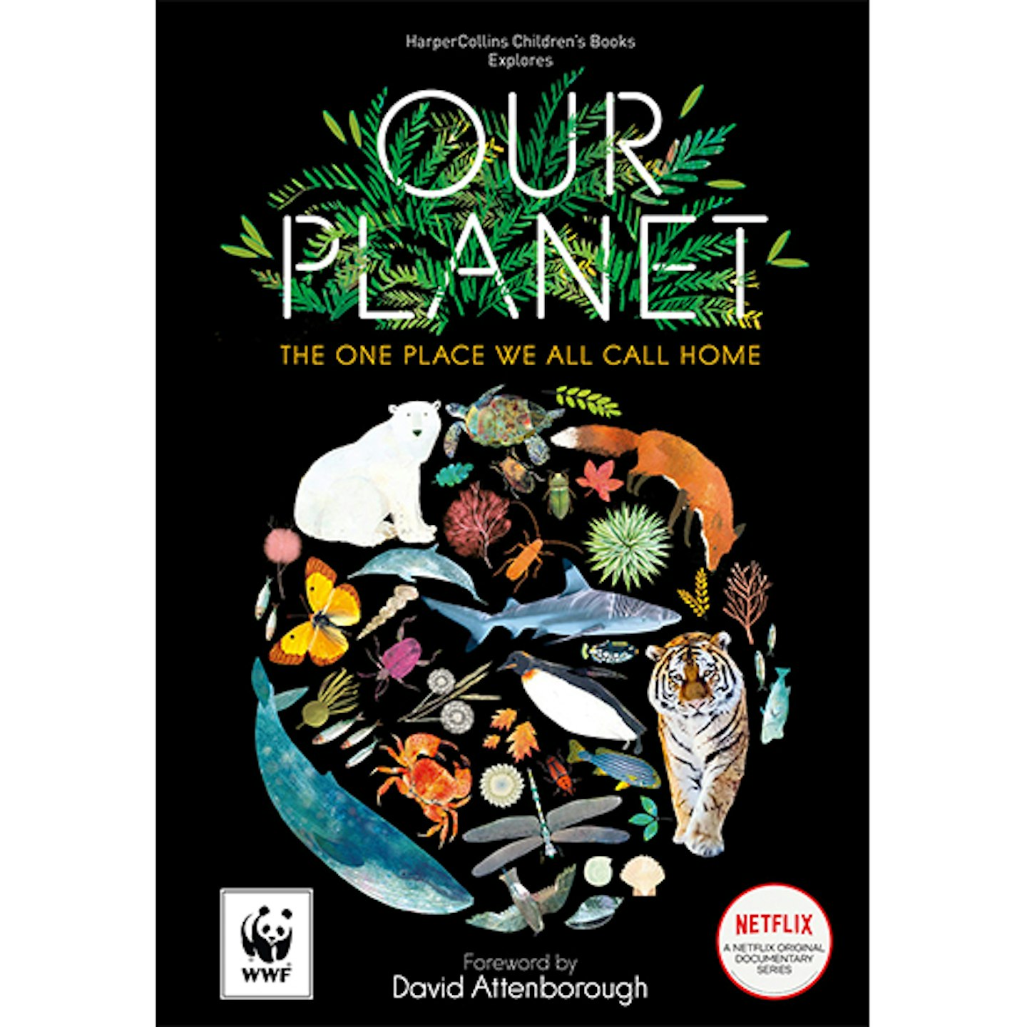 Our Planet: The official childrenu2019s companion