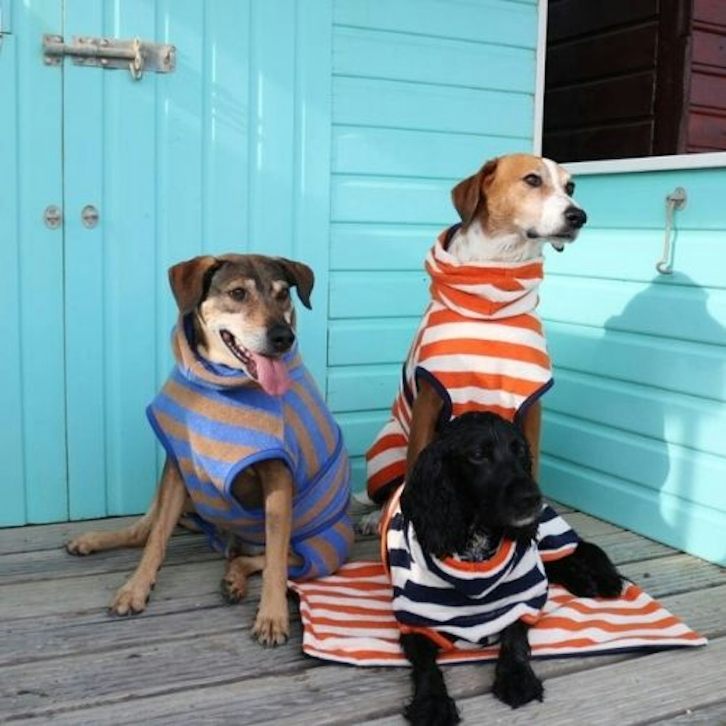Dog Drying Robe Striped