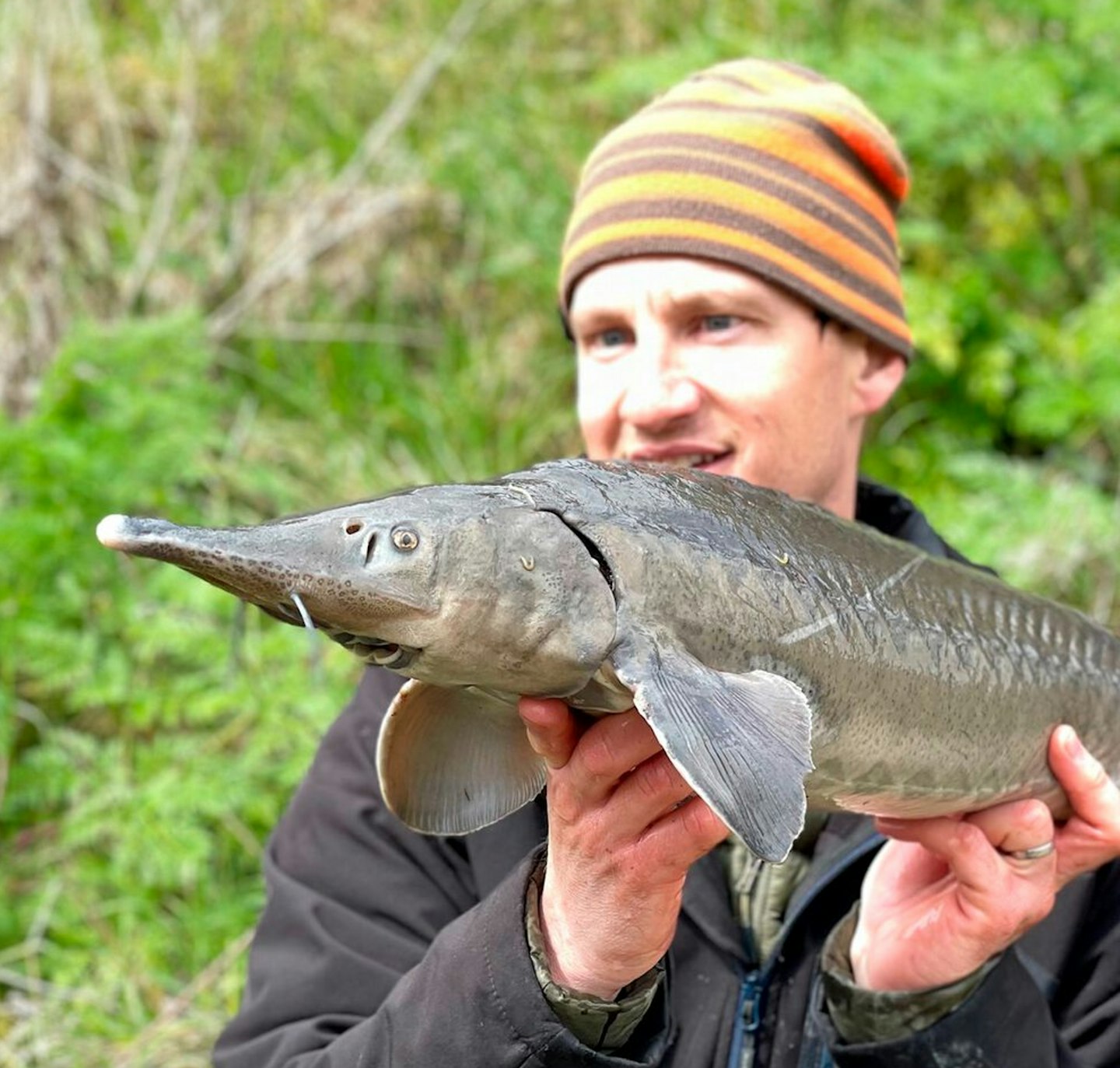 There aren't many anglers who can claim to have caught a sturgeon on the centrepin 