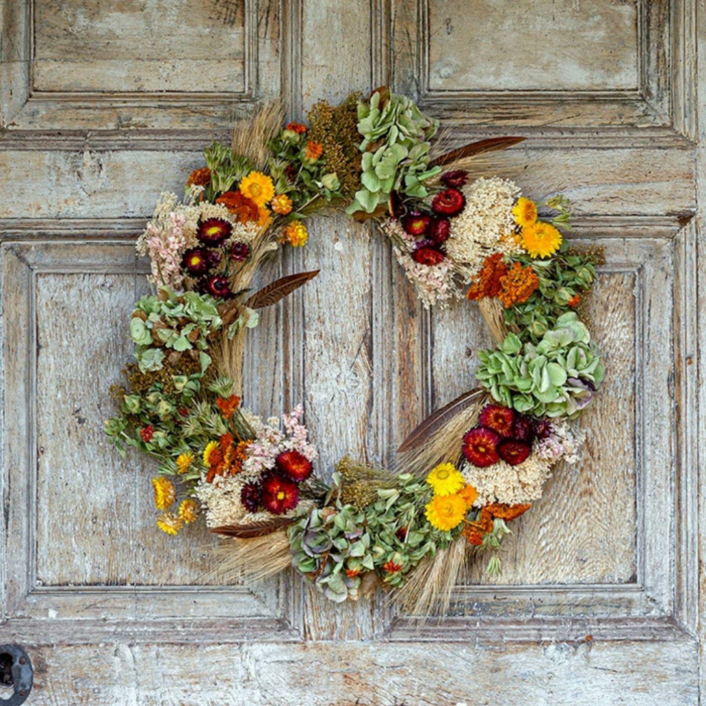 The Clodack - Dried Flower Wreath