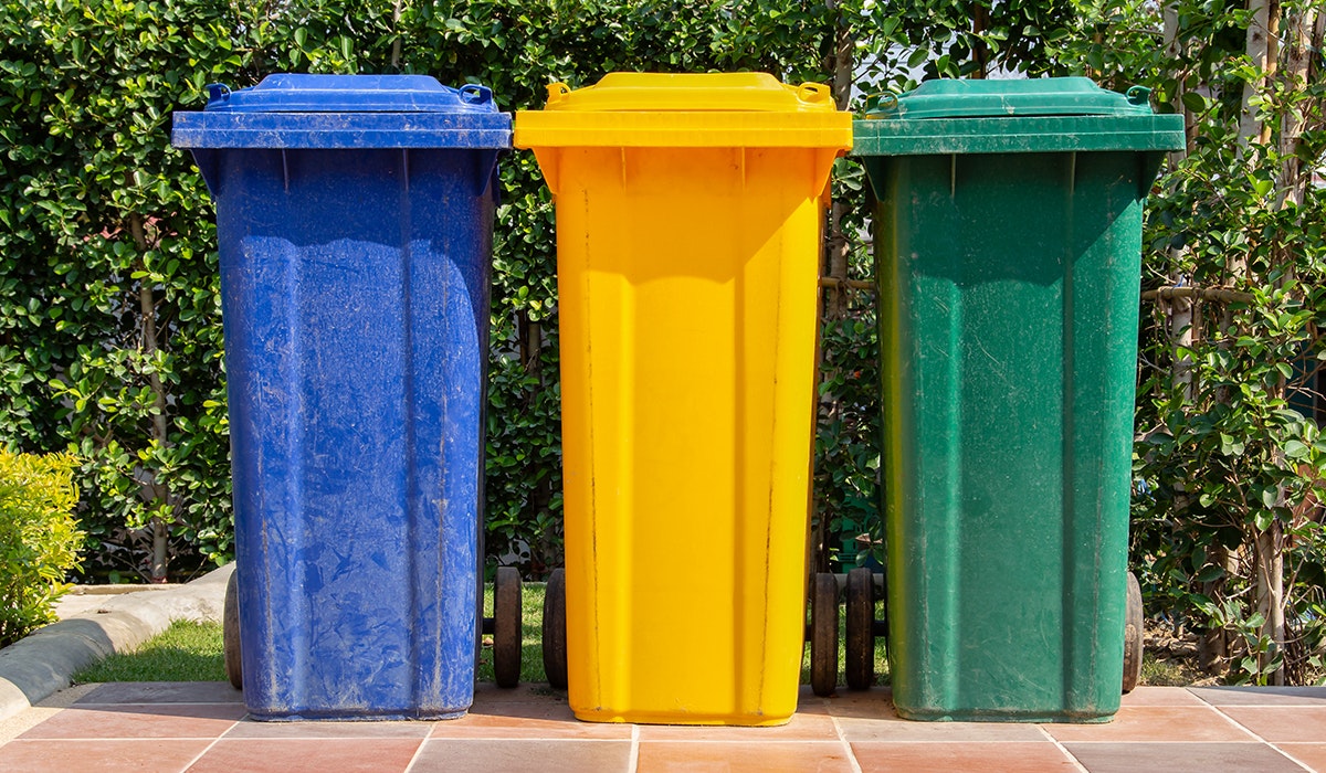 How to get rid of maggots in wheelie bin