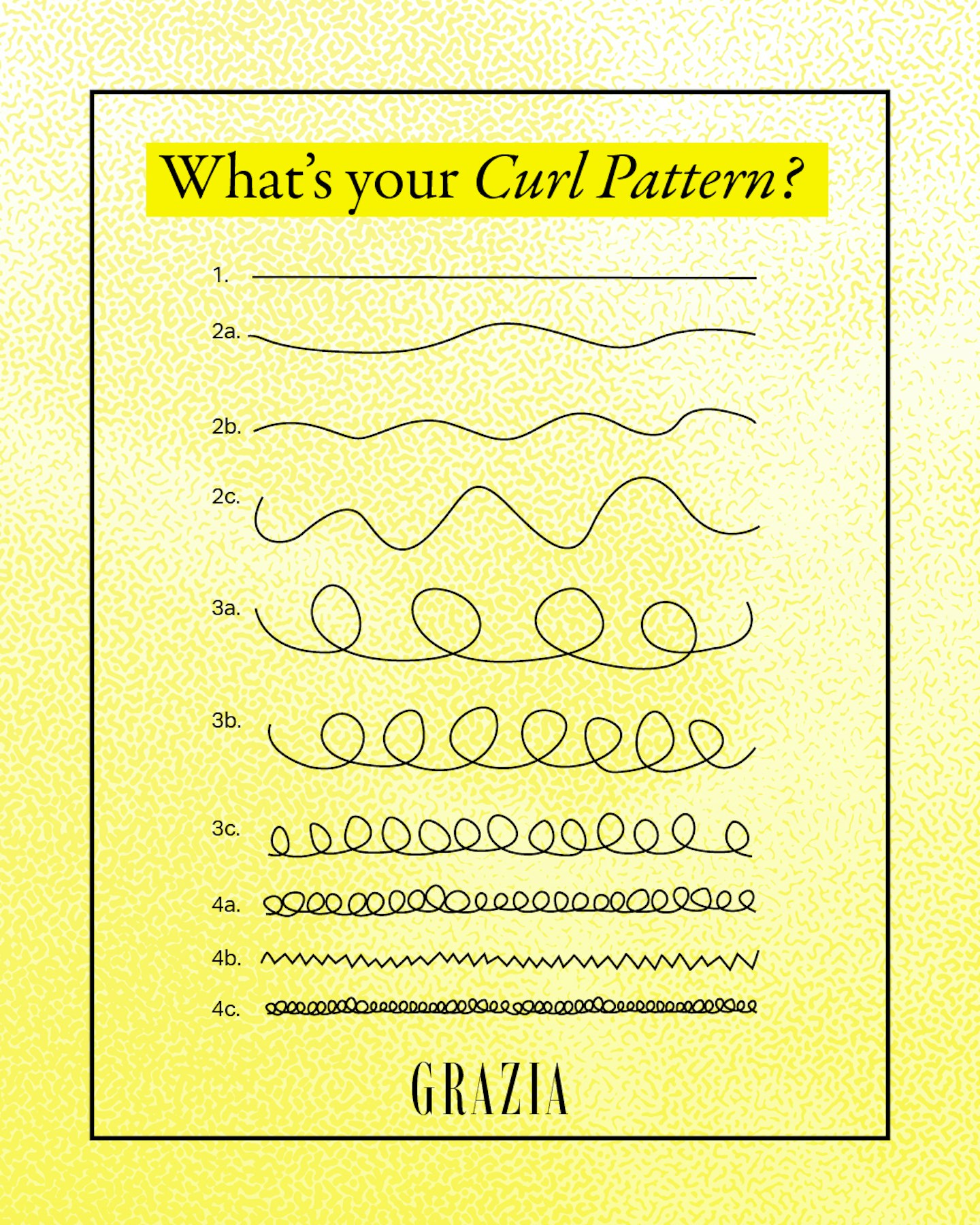 curl-type-chart