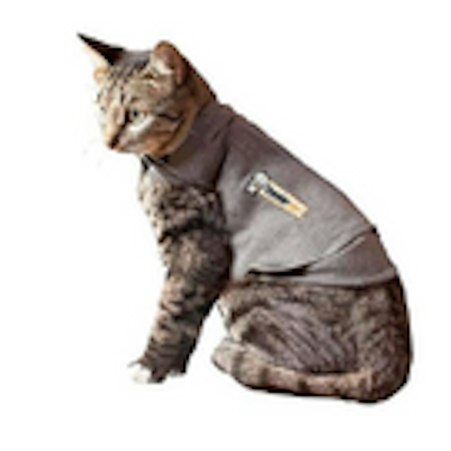 Calming Cat Vest