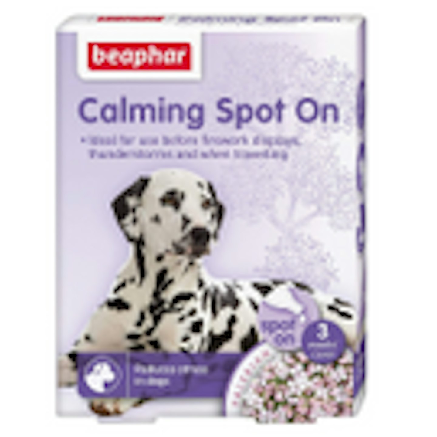 Calming Spot on for Dogs