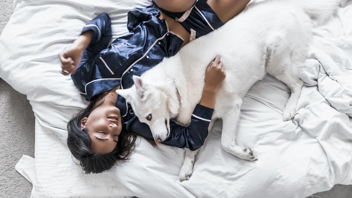 master the art of doing nothing: lady and dog lying on a bed