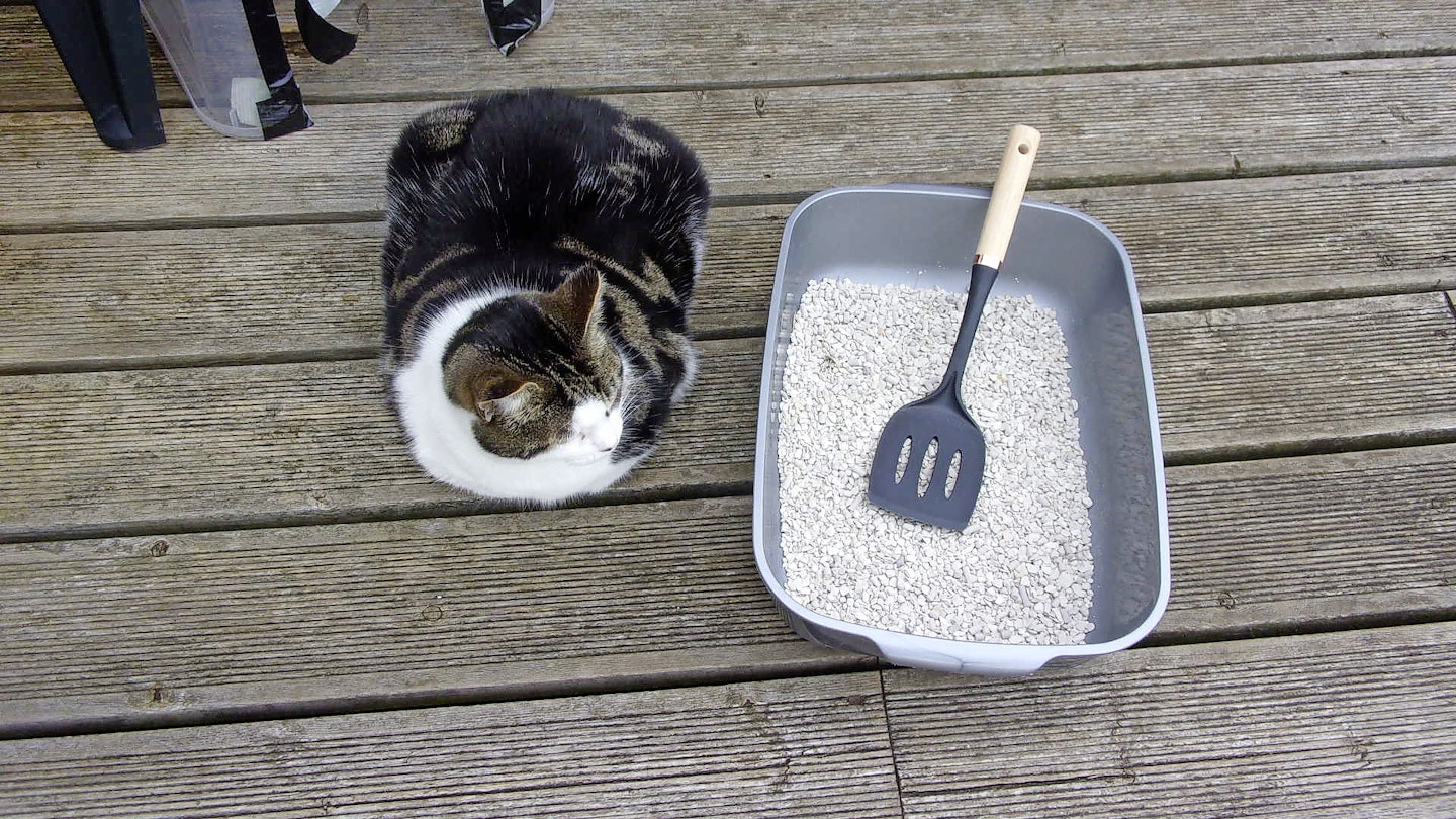 Cat litter tip