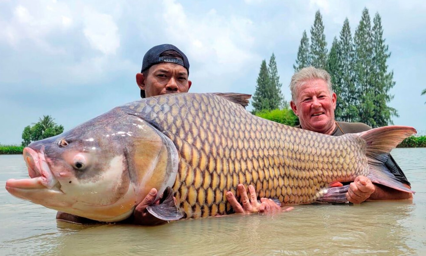 Dave Wilson and his 136lb Siamese carp