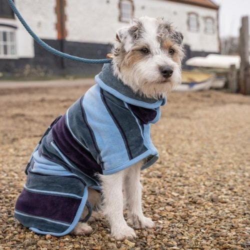 Best dog best sale drying coat