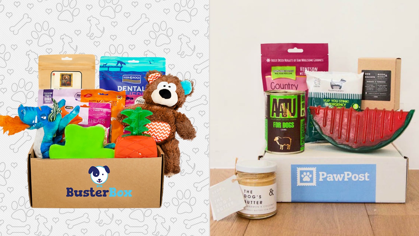 Two of the best dog subscription boxes UK