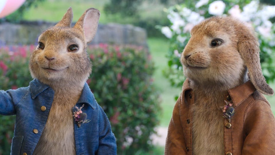 Peter Rabbit 2 Review | Movie - Empire