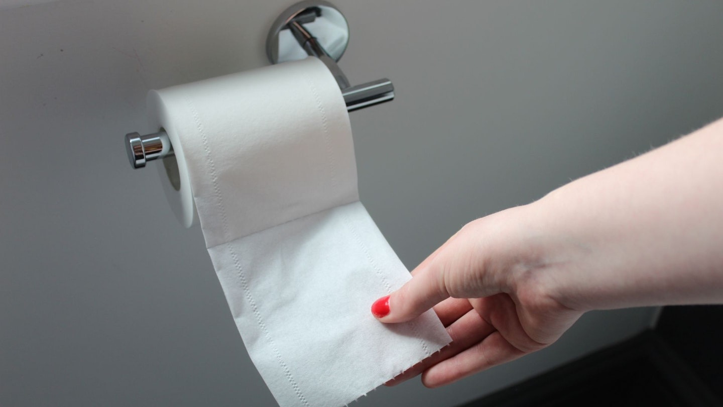 Woman touching The Cheeky Panda Toilet Paper on toilet roll holder