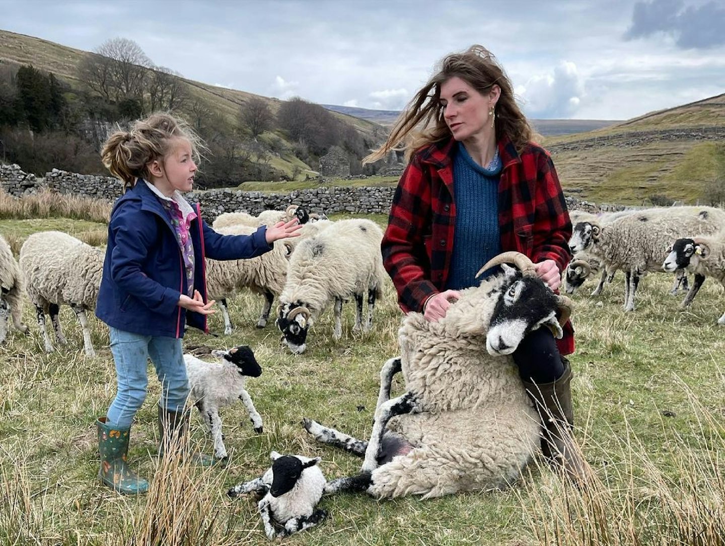 The Yorkshire Shepherdess