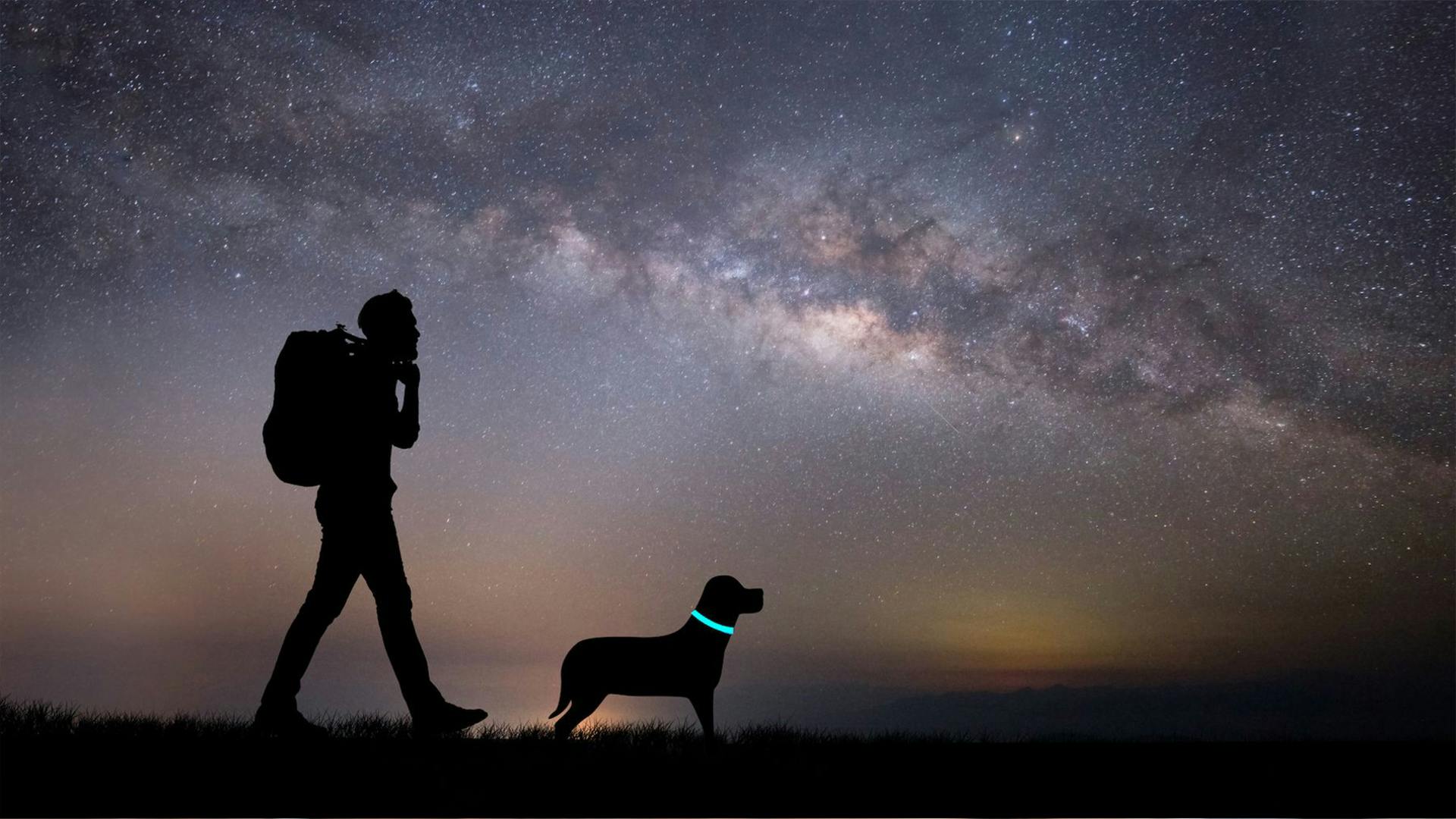 Finetoknow LED Dog Pets Collar Bright Night Light Pet Neck Ring,USB Rechargeable LED Dog Pets Safety Collar Super Bright Night Light Pet Neck Ring 