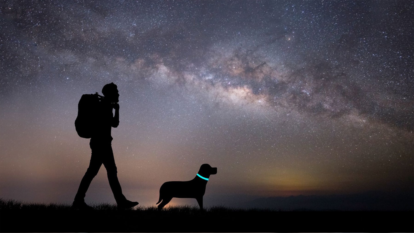 Dog and owner walking at night