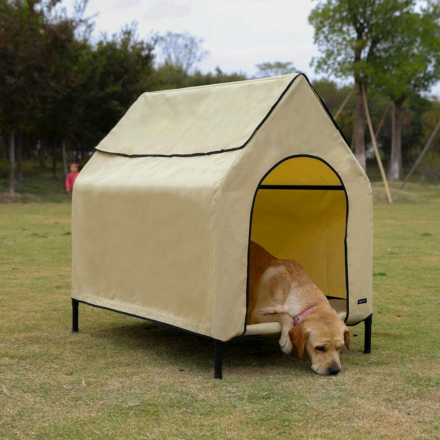 Amazon Basics Elevated Portable Pet House