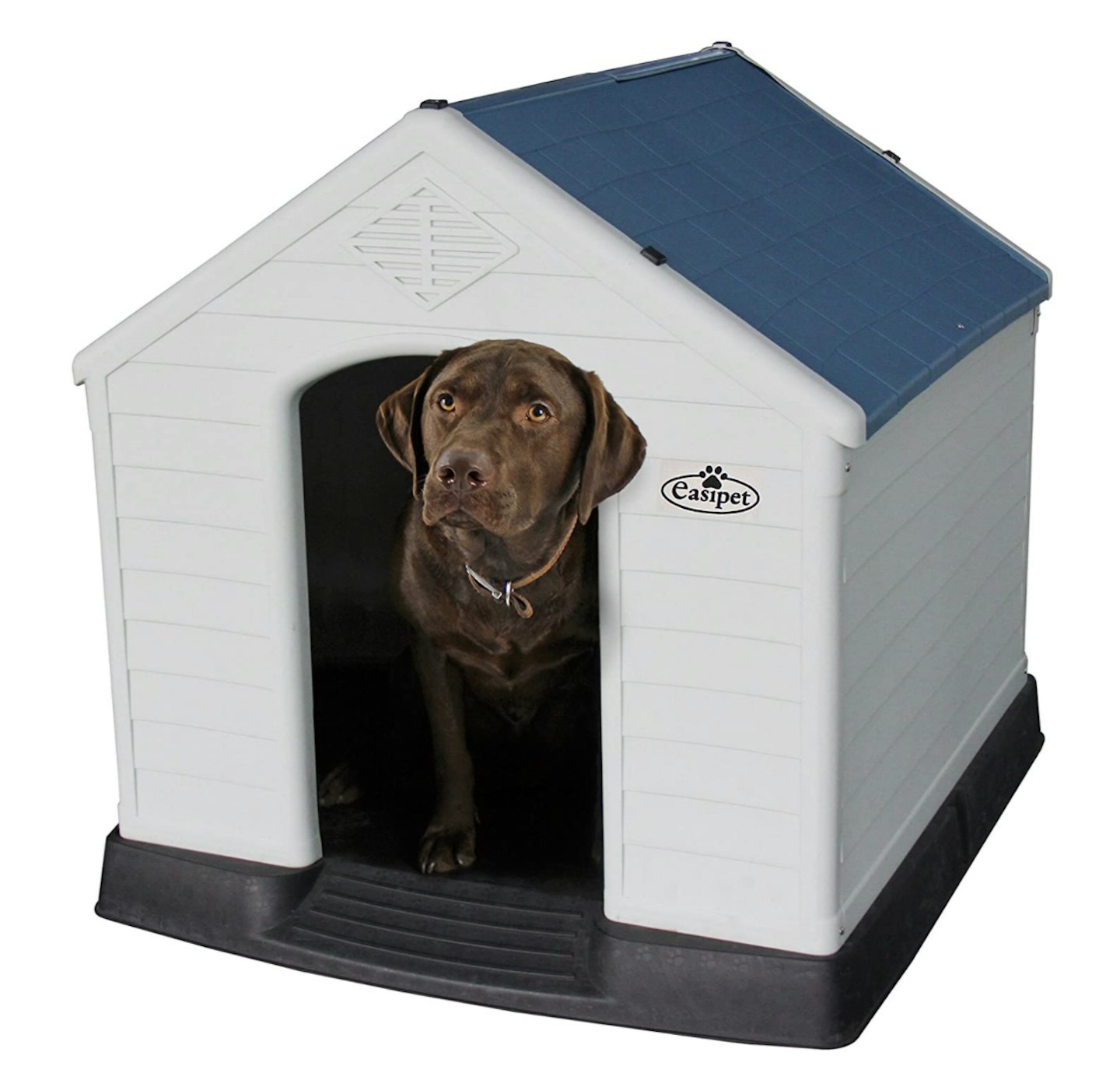 The Best Dog Kennels for Outdoors and Indoors