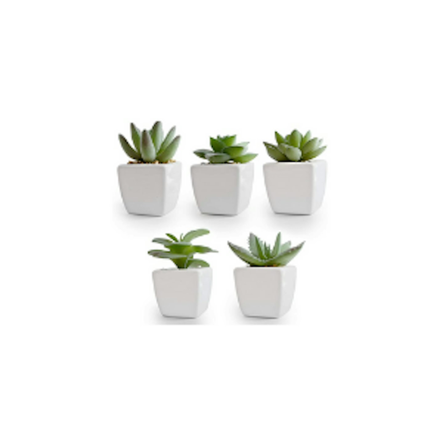Korvea Set of 5 Artificial Succulent Plants in Ceramic Pots