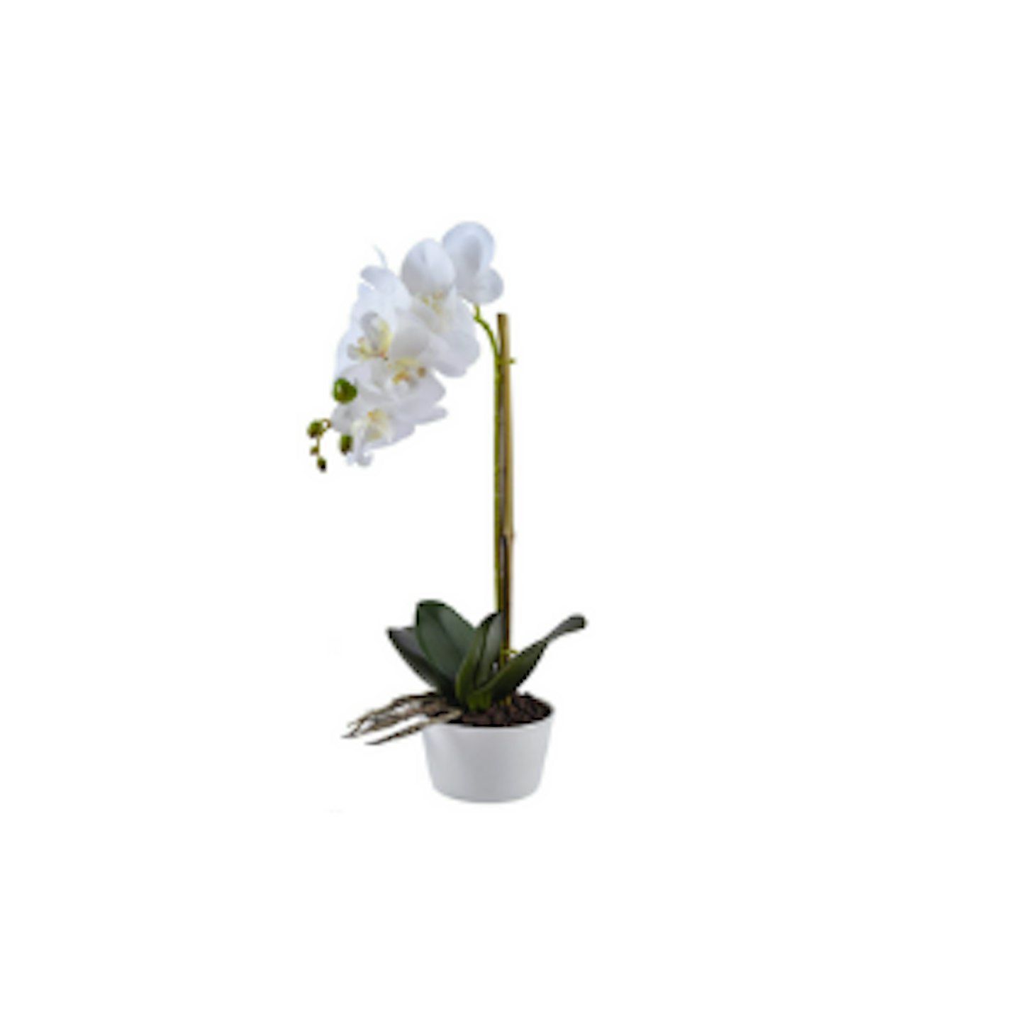Famibay Artificial Orchid Plant in Pot White Phalaenopsis
