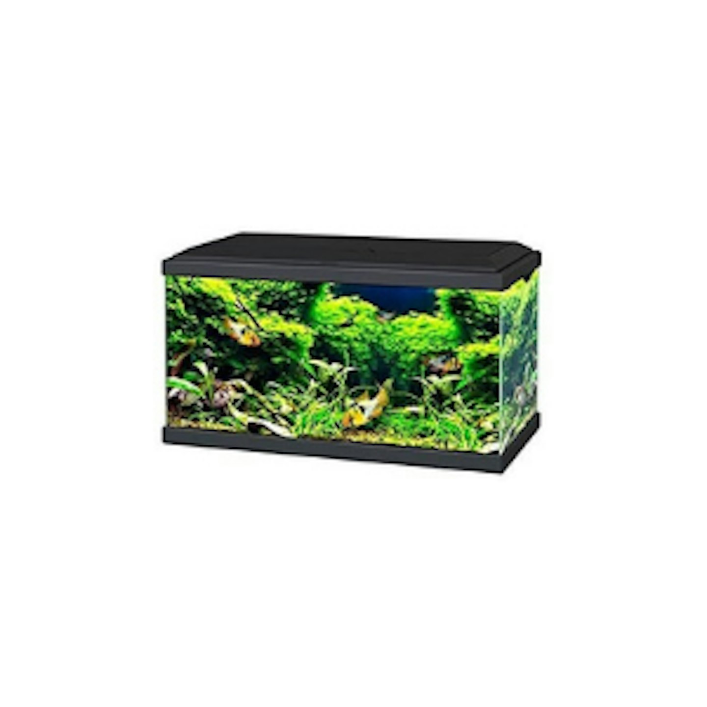 Ciano Black Aqua 60 LED Tropical Glass Aquarium